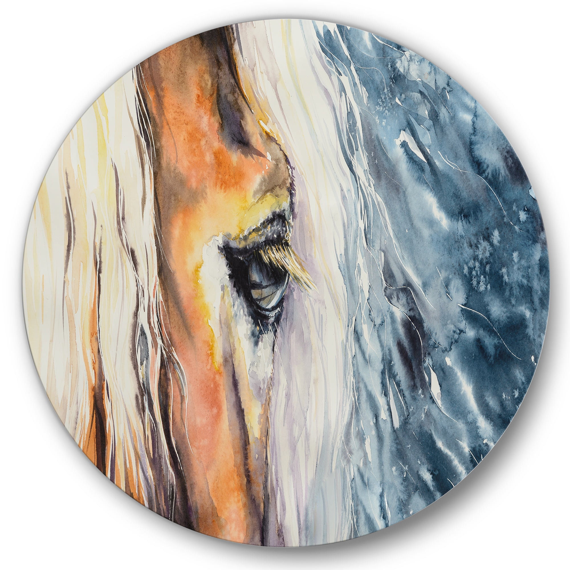 Designart 'Abstract Close-Up of A Beautiful Horses Eye II' Farmhouse Circle Metal Wall Art 23x23 - Disc of 23