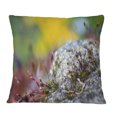 thumbnail image 1 of Designart Abstract Composition of Moss Flowers - Modern Landscape Printed Throw Pillow - 12x20, 1 of 1