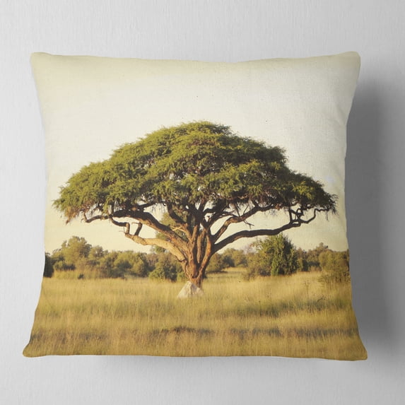 Designart Acacia Tree on African Plain - African Landscape Printed Throw Pillow - 18x18
