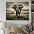 thumbnail image 1 of Designart "Africa Elephants beauty" Animals Floater Framed Canvas Print, 1 of 7