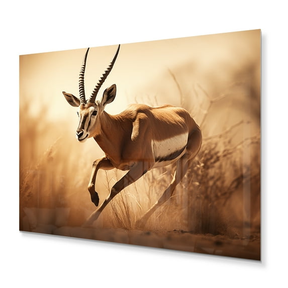 Designart "Africa Gazelles beauty" Animals Metal Wall Art