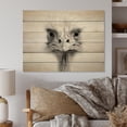thumbnail image 1 of Designart "Africa Ostrichs beauty II" Animals Print on Natural Pine Wood, 1 of 5