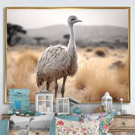 Designart "Africa Ostrichs beauty III" Animals Floater Framed Wall Decor