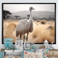 thumbnail image 1 of Designart "Africa Ostrichs beauty III" Animals Floater Framed Wall Decor, 1 of 7