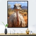 thumbnail image 1 of Designart "African Flightless Bird On Plains" Animals Floater Framed Wall Art Print, 1 of 7