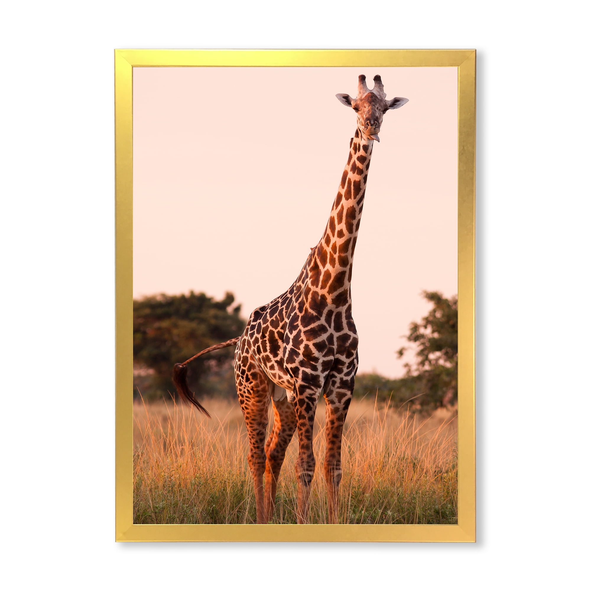 Designart 'African Giraffe In The Wildlife I' Farmhouse Framed Art Print