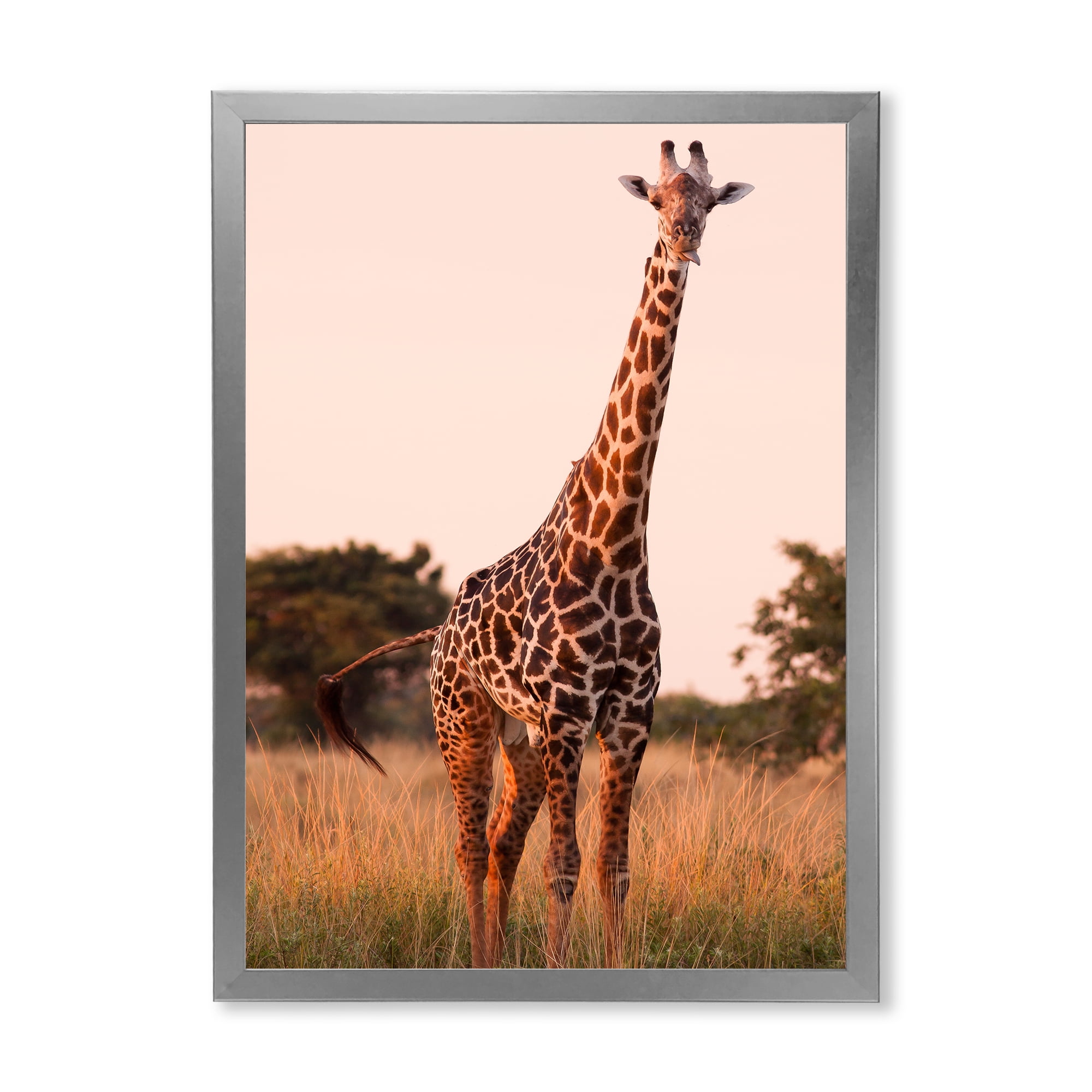Designart 'African Giraffe In The Wildlife I' Farmhouse Framed Art Print