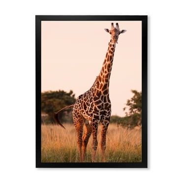Designart 'African Giraffe In The Wildlife I' Farmhouse Framed Art Print