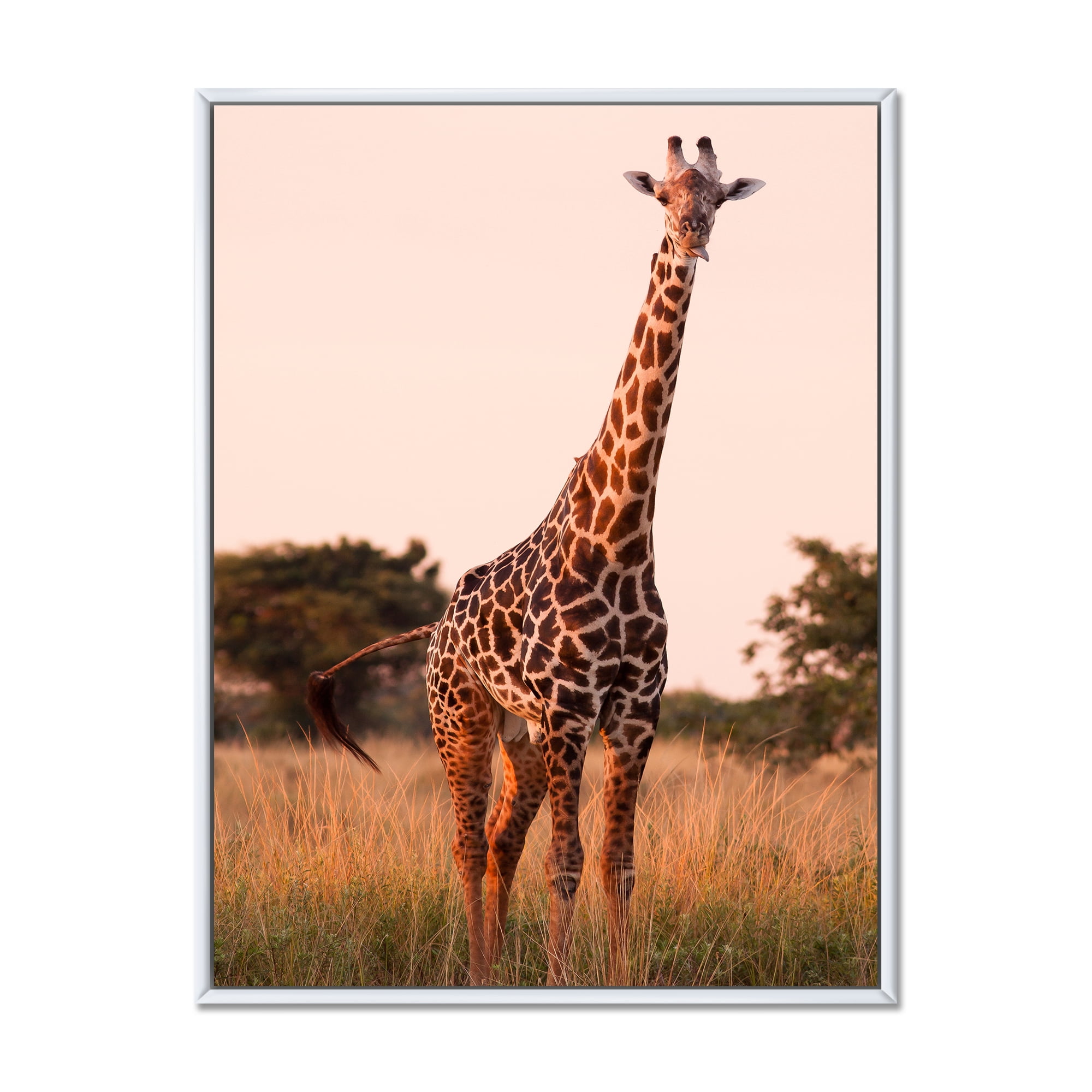 Designart 'African Giraffe In The Wildlife I' Farmhouse Framed Canvas Wall Art Print