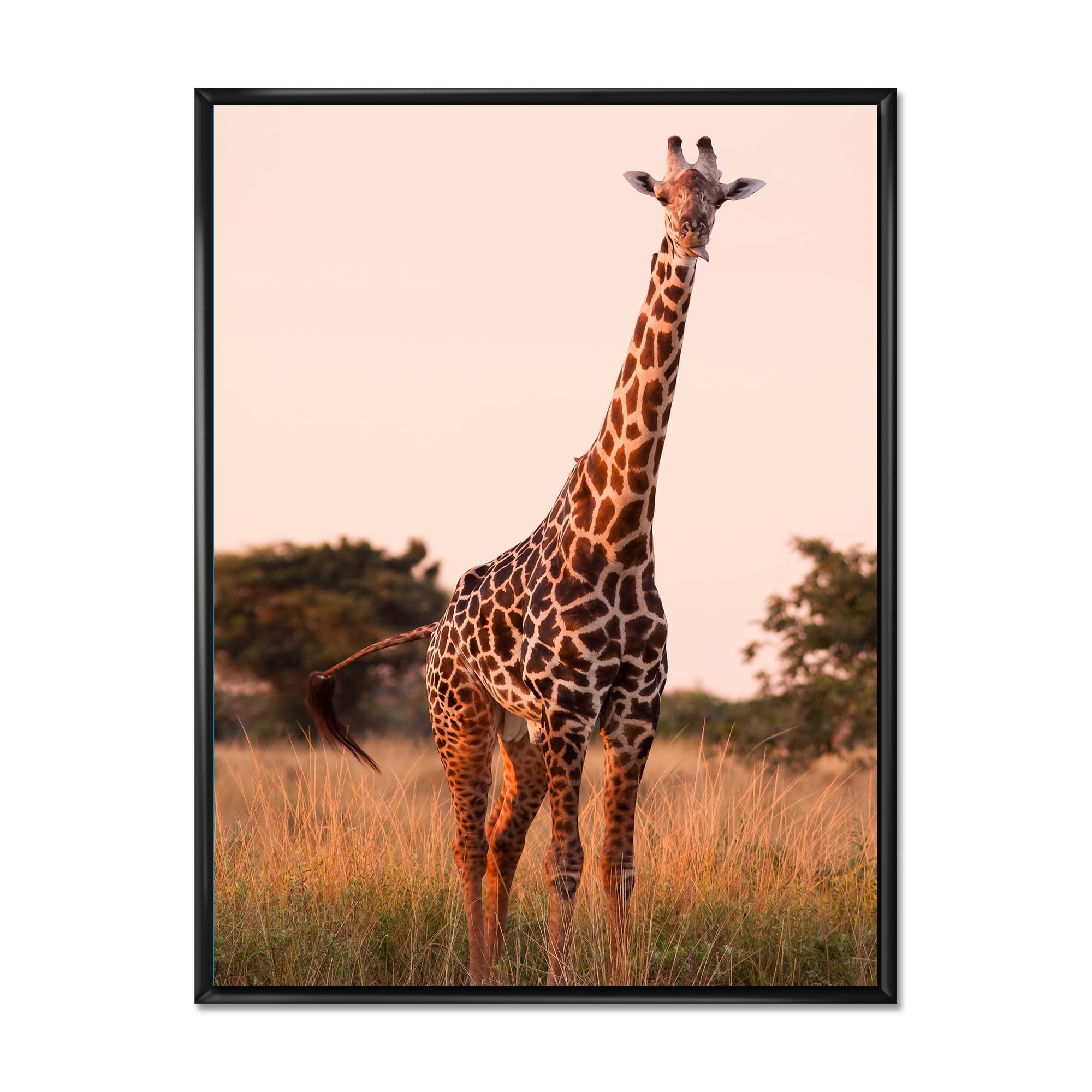 Designart 'African Giraffe In The Wildlife I' Farmhouse Framed Canvas Wall Art Print