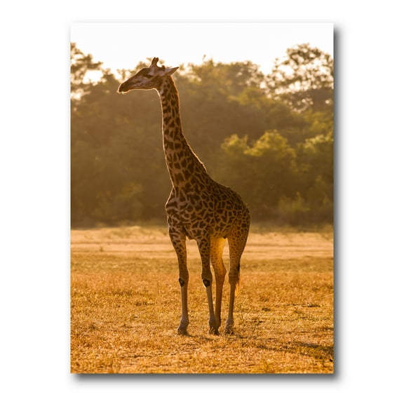 Designart ' African Giraffe In The Wildlife II ' Farmhouse Canvas Wall Art Print