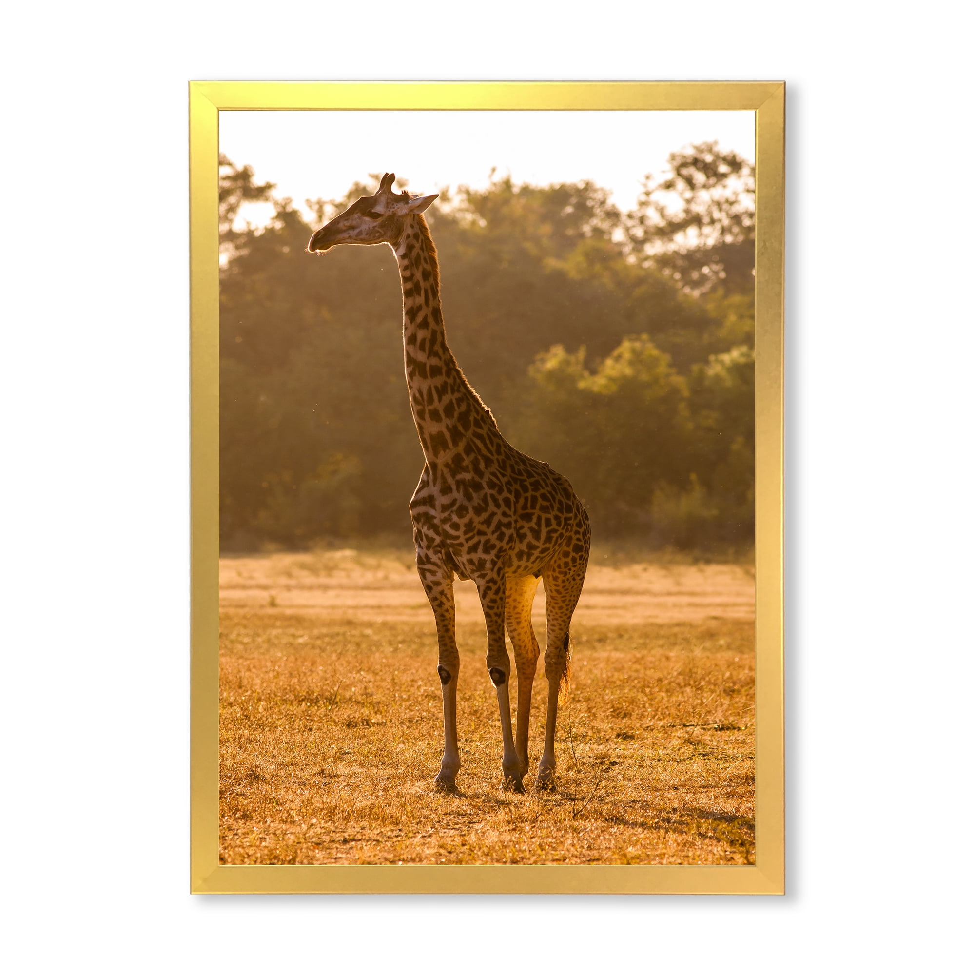 Designart 'African Giraffe In The Wildlife II' Farmhouse Framed Art Print