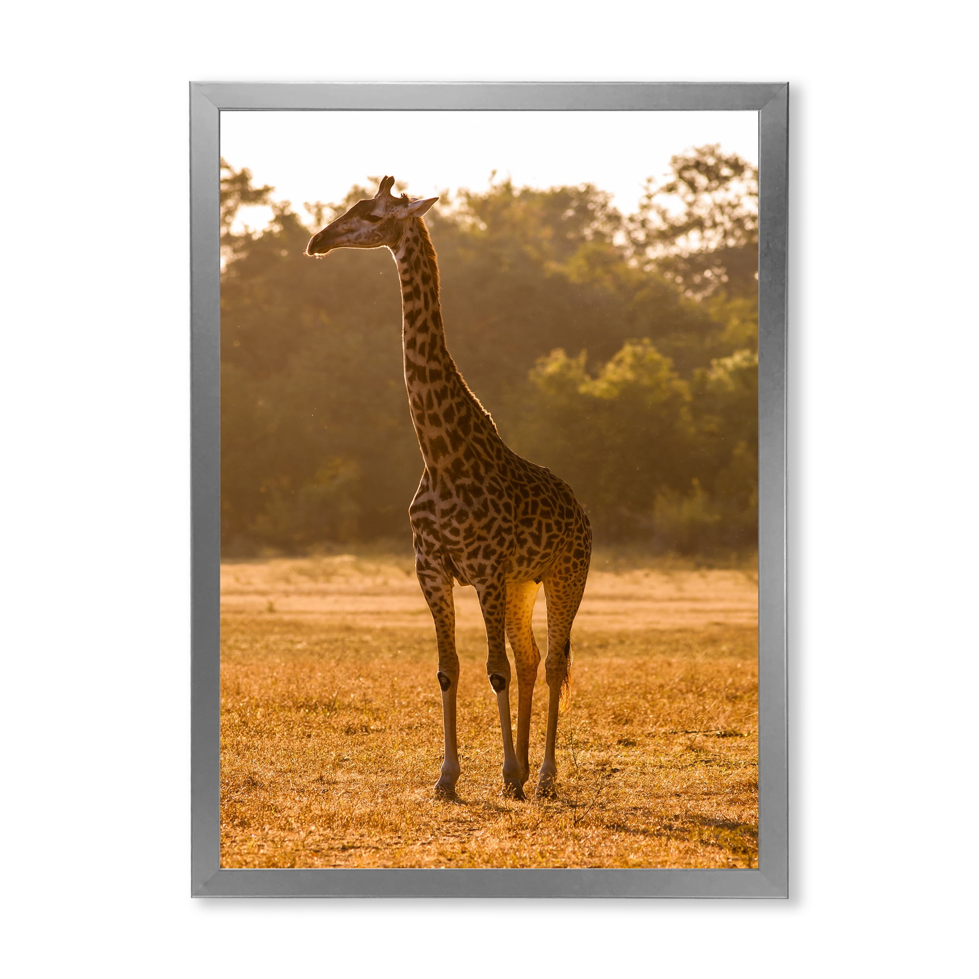 Designart 'African Giraffe In The Wildlife II' Farmhouse Framed Art Print