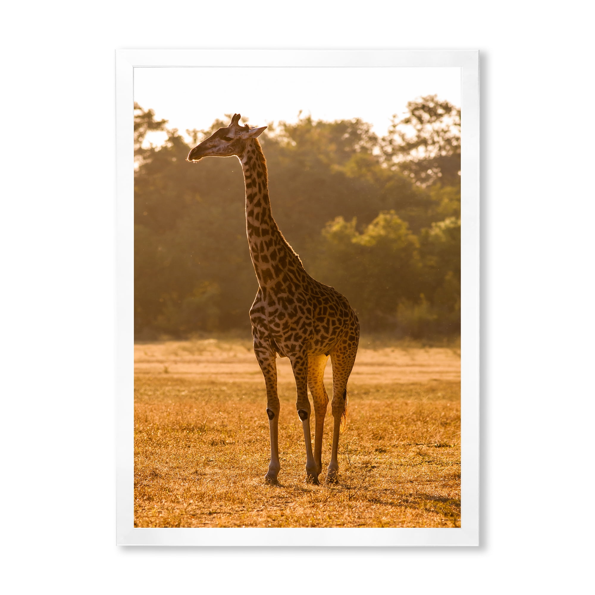 Designart 'African Giraffe In The Wildlife II' Farmhouse Framed Art Print