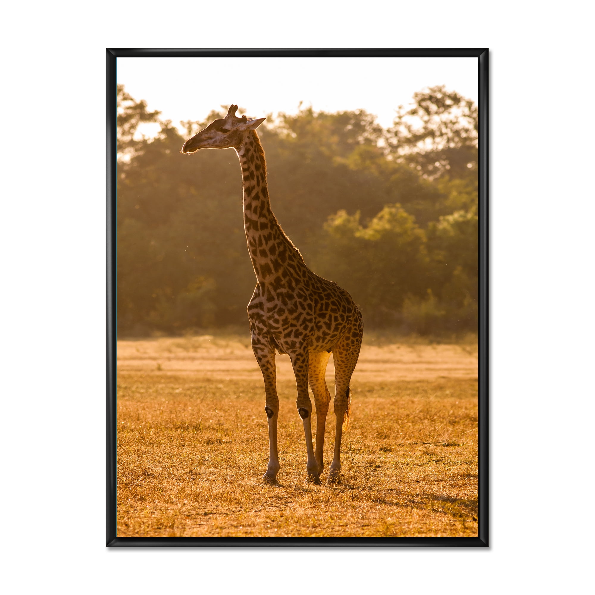 Designart 'African Giraffe In The Wildlife II' Farmhouse Framed Canvas Wall Art Print