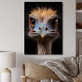 thumbnail image 1 of Designart "African Long-legged Likeness Ostrich" Animals Canvas Wall Art, 1 of 5
