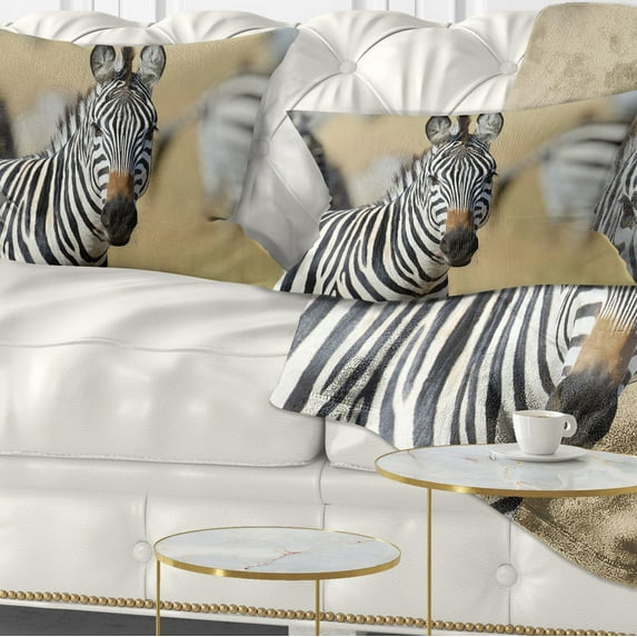 Designart African Zebra Close Up View - African Throw Pillow - 12x20