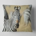 thumbnail image 1 of Designart African Zebra Close Up View - African Throw Pillow - 18x18, 1 of 4
