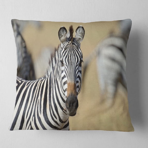 Designart African Zebra Close Up View - African Throw Pillow - 18x18