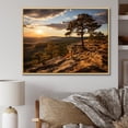 thumbnail image 1 of Designart "Alabama Country horizon II" Landscape & Nature Floater Framed Wall Decor, 1 of 7