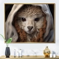 thumbnail image 1 of Designart "Alcapas Woolen " Animals Floater Framed Canvas Art Print, 1 of 7