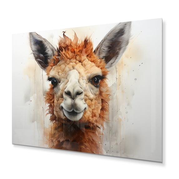 Designart "Alpaca Inquiring Gaze" Animals Metal Art Living Room