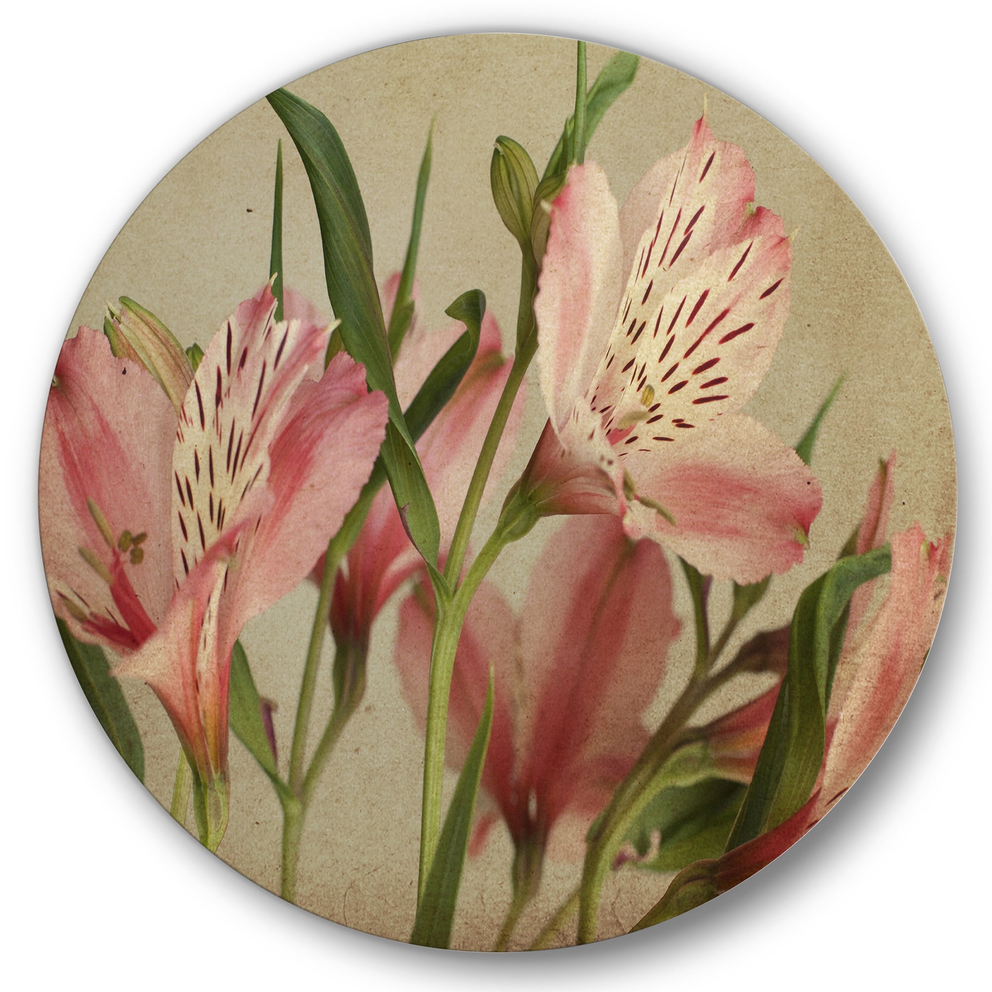 Designart 'Alstroemeria Flower Retro ' Traditional Circle Metal Wall Art 11x11 - Disc of 11
