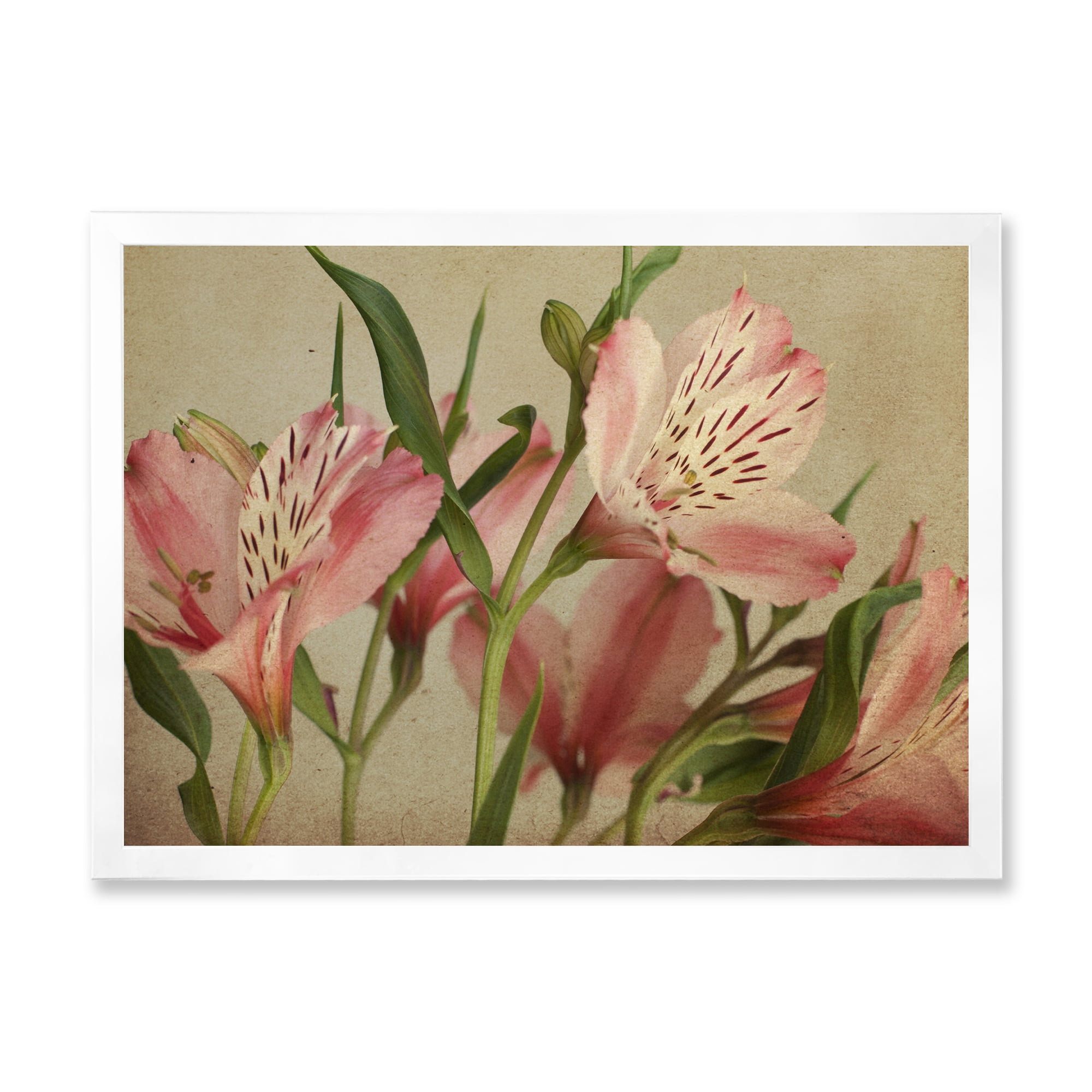 Designart 'Alstroemeria Flower Retro ' Traditional Framed Art Print