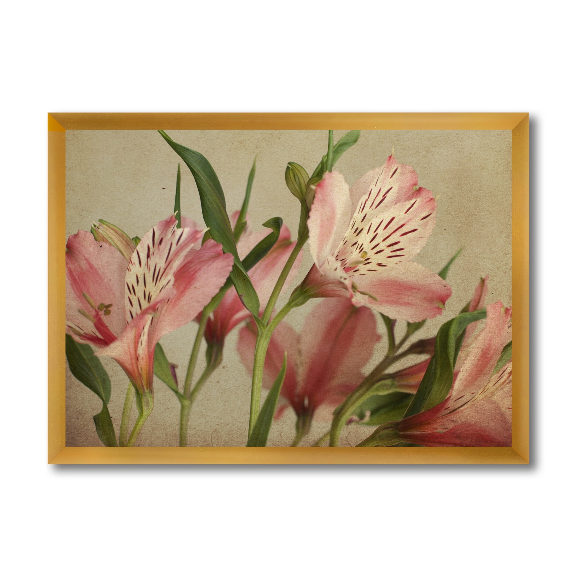 Designart 'Alstroemeria Flower Retro ' Traditional Framed Art Print