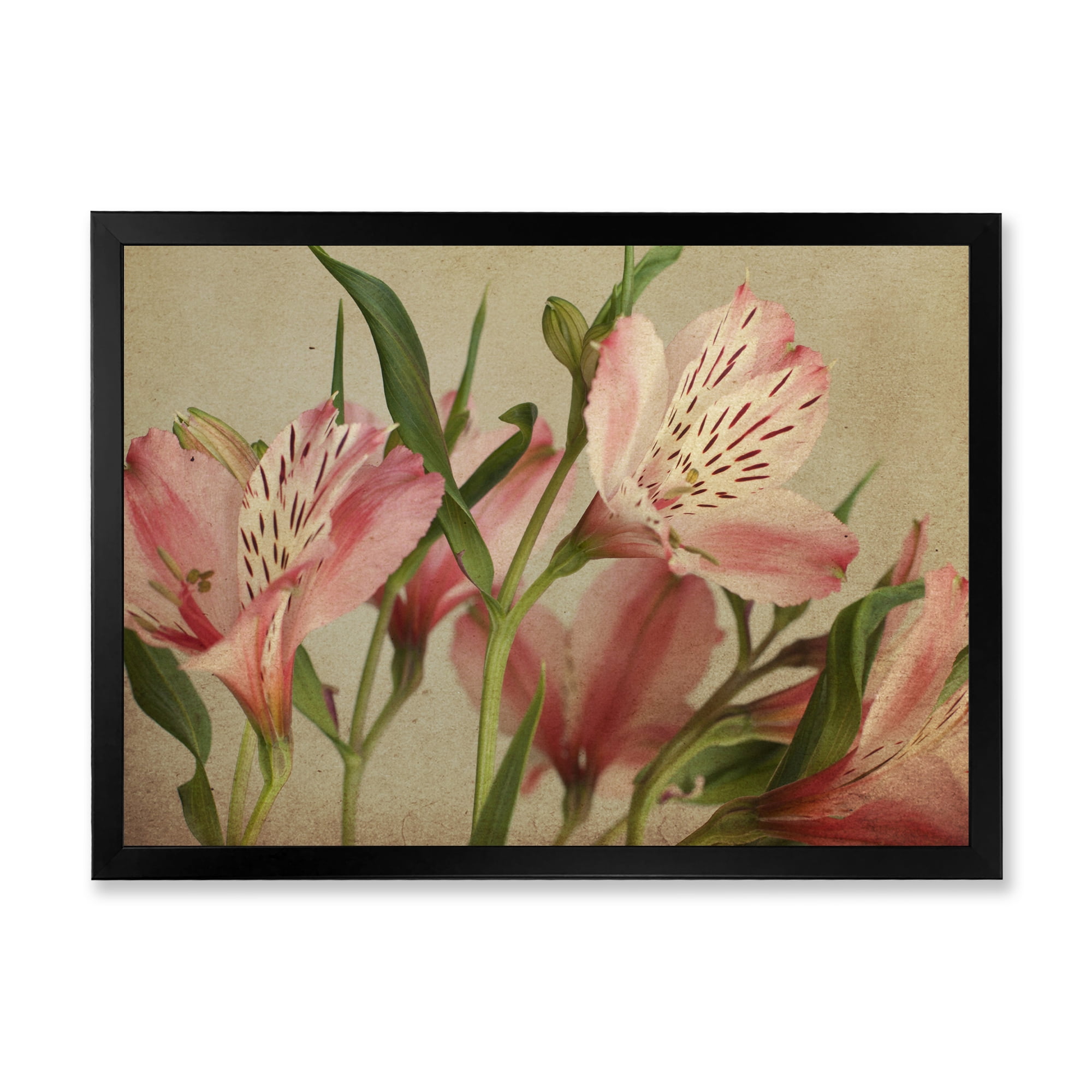 Designart 'Alstroemeria Flower Retro ' Traditional Framed Art Print