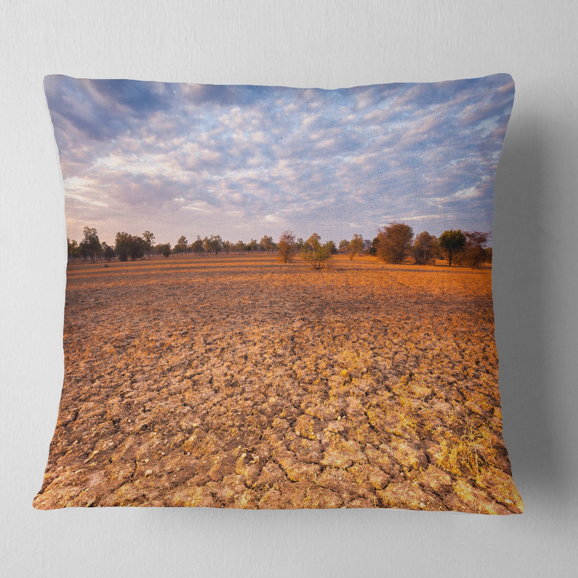 Designart Amazing View of African Landscape - Landscape Printed Throw Pillow - 16x16