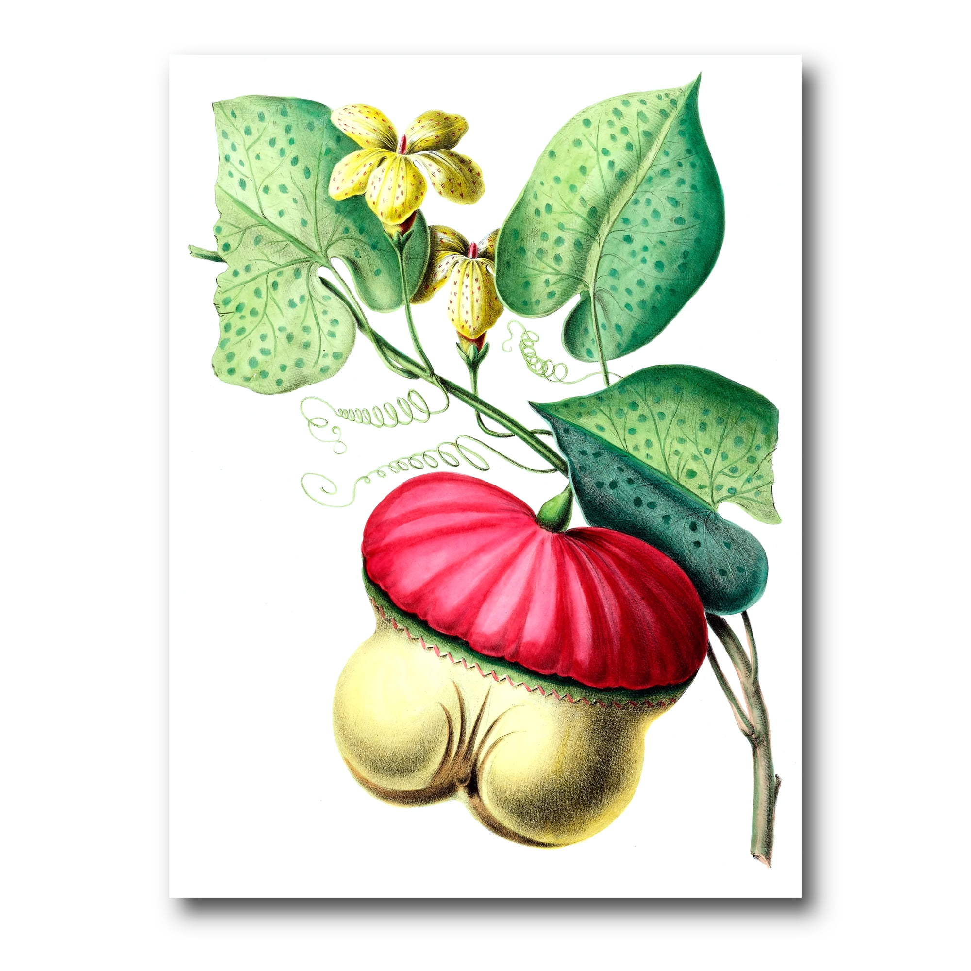 Designart ' American Vintage Flowers I ' Traditional Canvas Wall Art Print