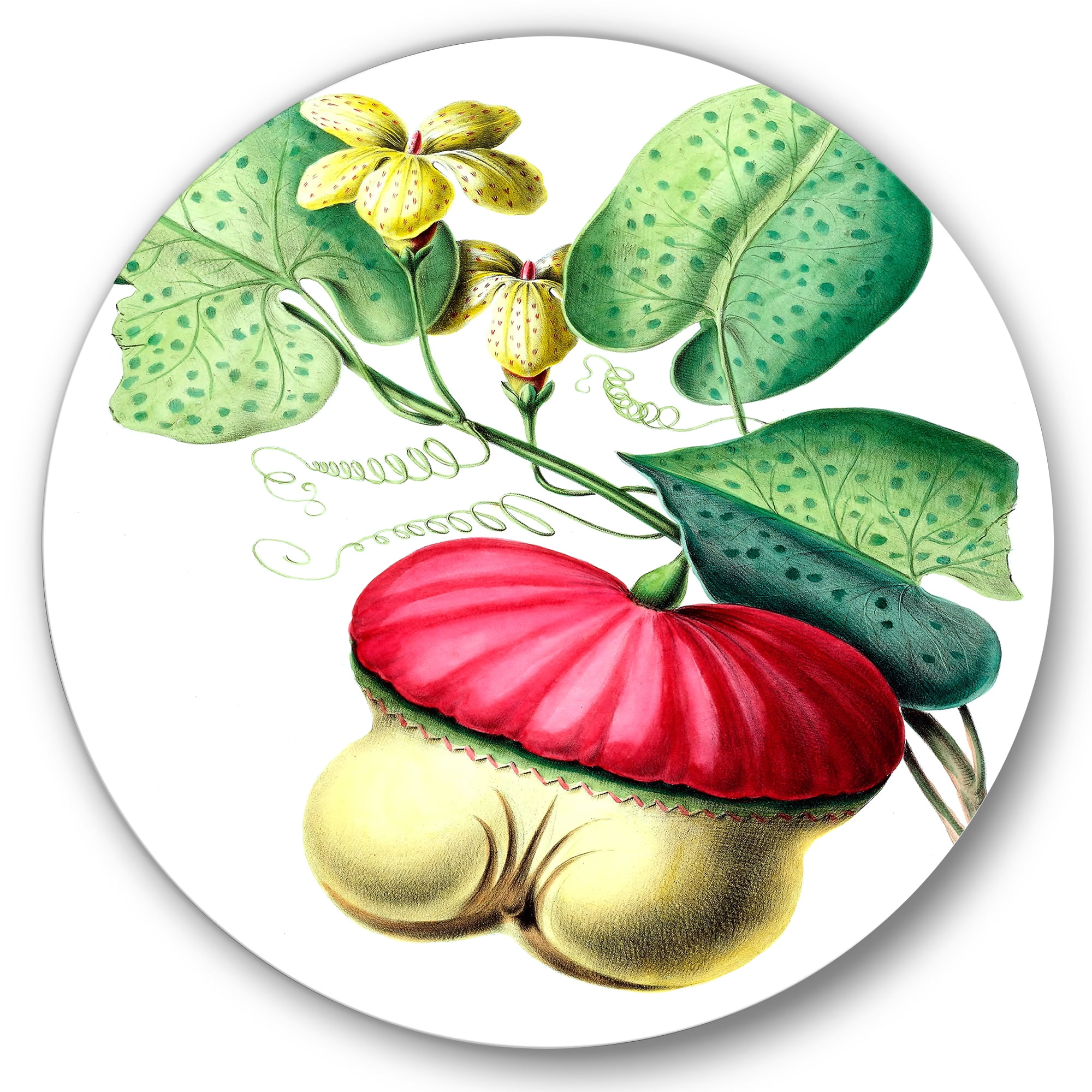 Designart 'American Vintage Flowers I' Traditional Circle Metal Wall Art 11x11 - Disc of 11