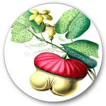 Designart 'American Vintage Flowers I' Traditional Circle Metal Wall Art 36x36 - Disc of 36