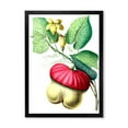 thumbnail image 1 of Designart 'American Vintage Flowers I' Traditional Framed Art Print, 1 of 4