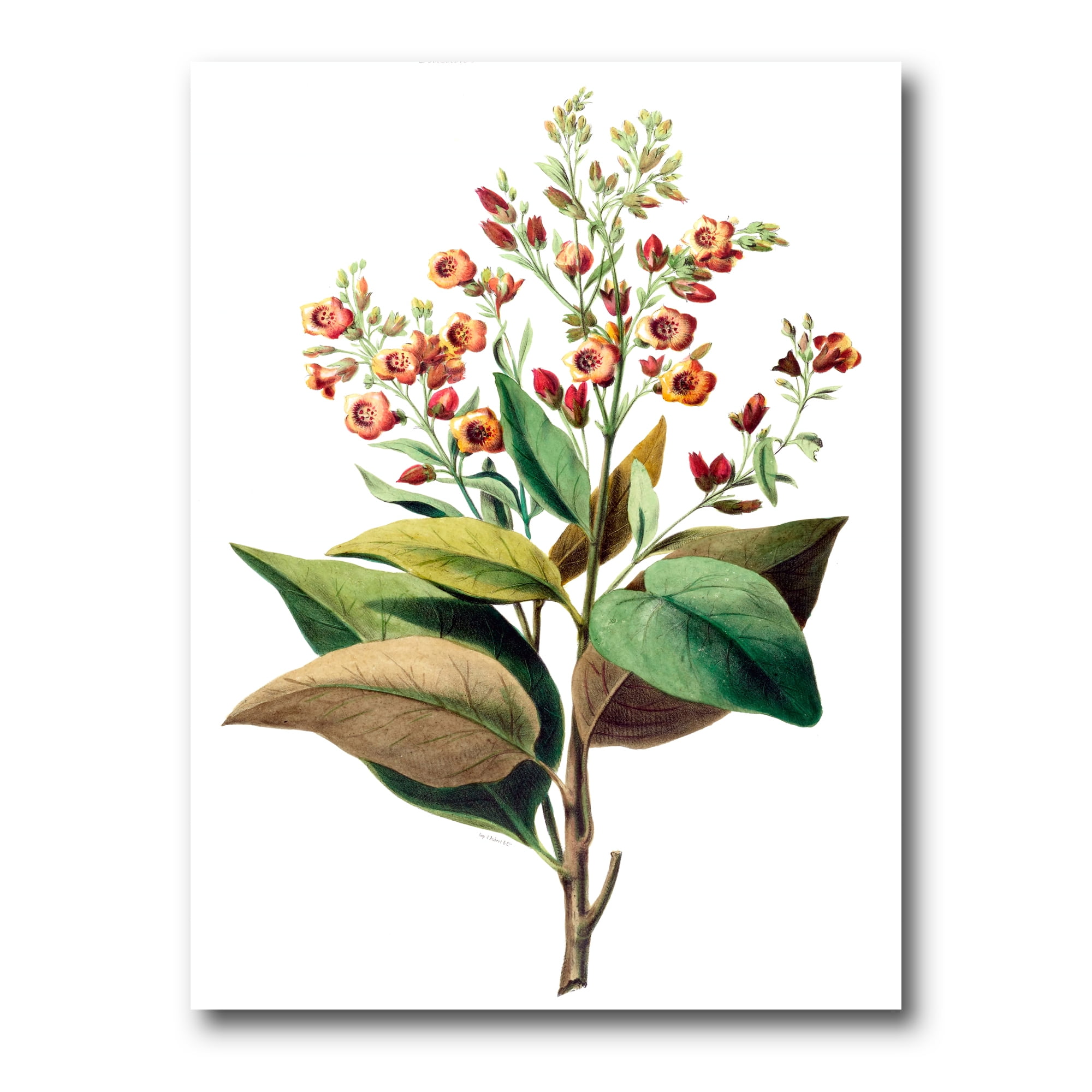 Designart ' American Vintage Flowers II ' Traditional Canvas Wall Art Print