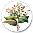 thumbnail image 1 of Designart 'American Vintage Flowers II' Traditional Circle Metal Wall Art 23x23 - Disc of 23, 1 of 5