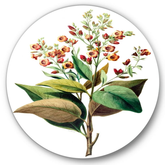 Designart 'American Vintage Flowers II' Traditional Circle Metal Wall Art 36x36 - Disc of 36