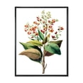 thumbnail image 1 of Designart 'American Vintage Flowers II' Traditional Framed Canvas Wall Art Print, 1 of 5