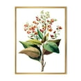 thumbnail image 1 of Designart 'American Vintage Flowers II' Traditional Framed Canvas Wall Art Print, 1 of 5