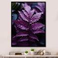 thumbnail image 1 of Designart "Amethyst Shadows Prupel Ferns wall art" Floral & Botanical Floater Framed Canvas Wall Art, 1 of 7