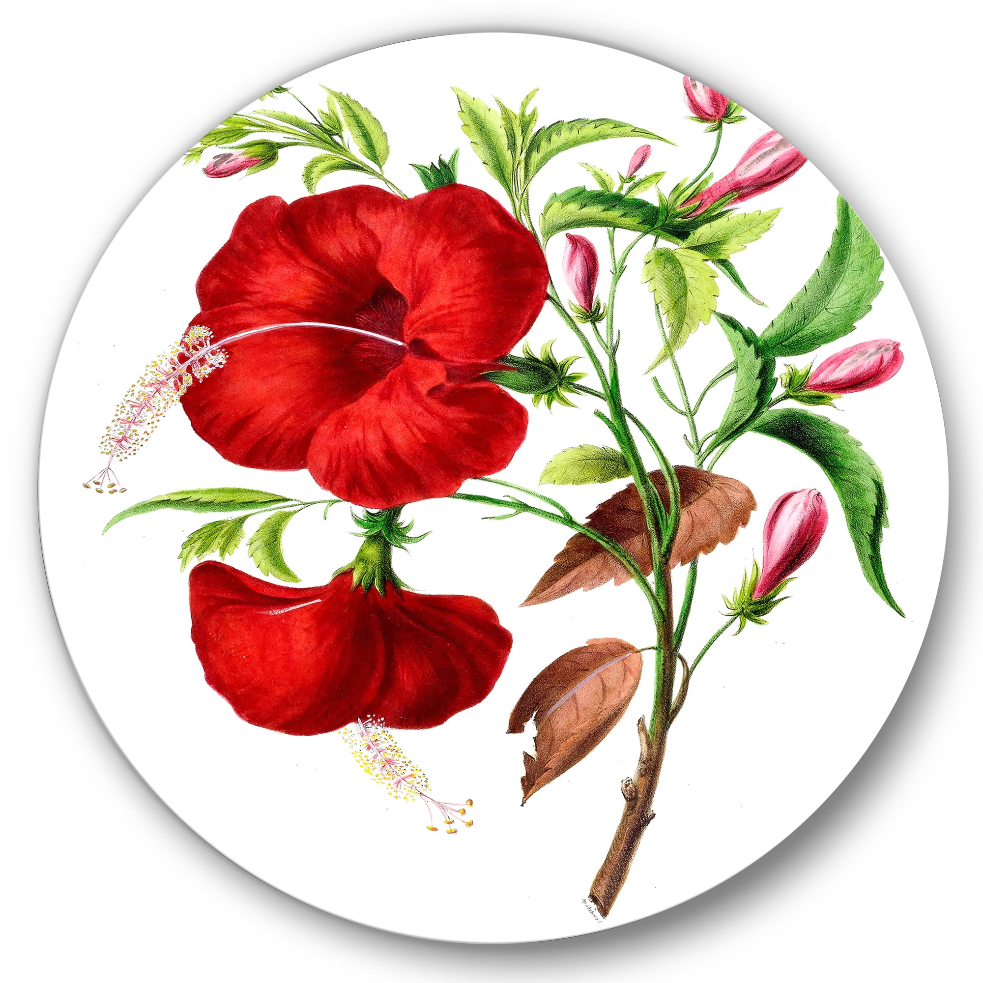Designart 'Ancient American Flora I' Traditional Circle Metal Wall Art 36x36 - Disc of 36