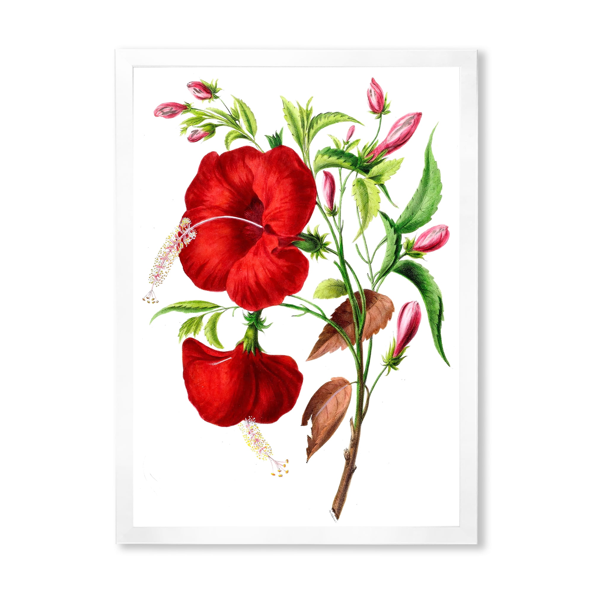 Designart 'Ancient American Flora I' Traditional Framed Art Print