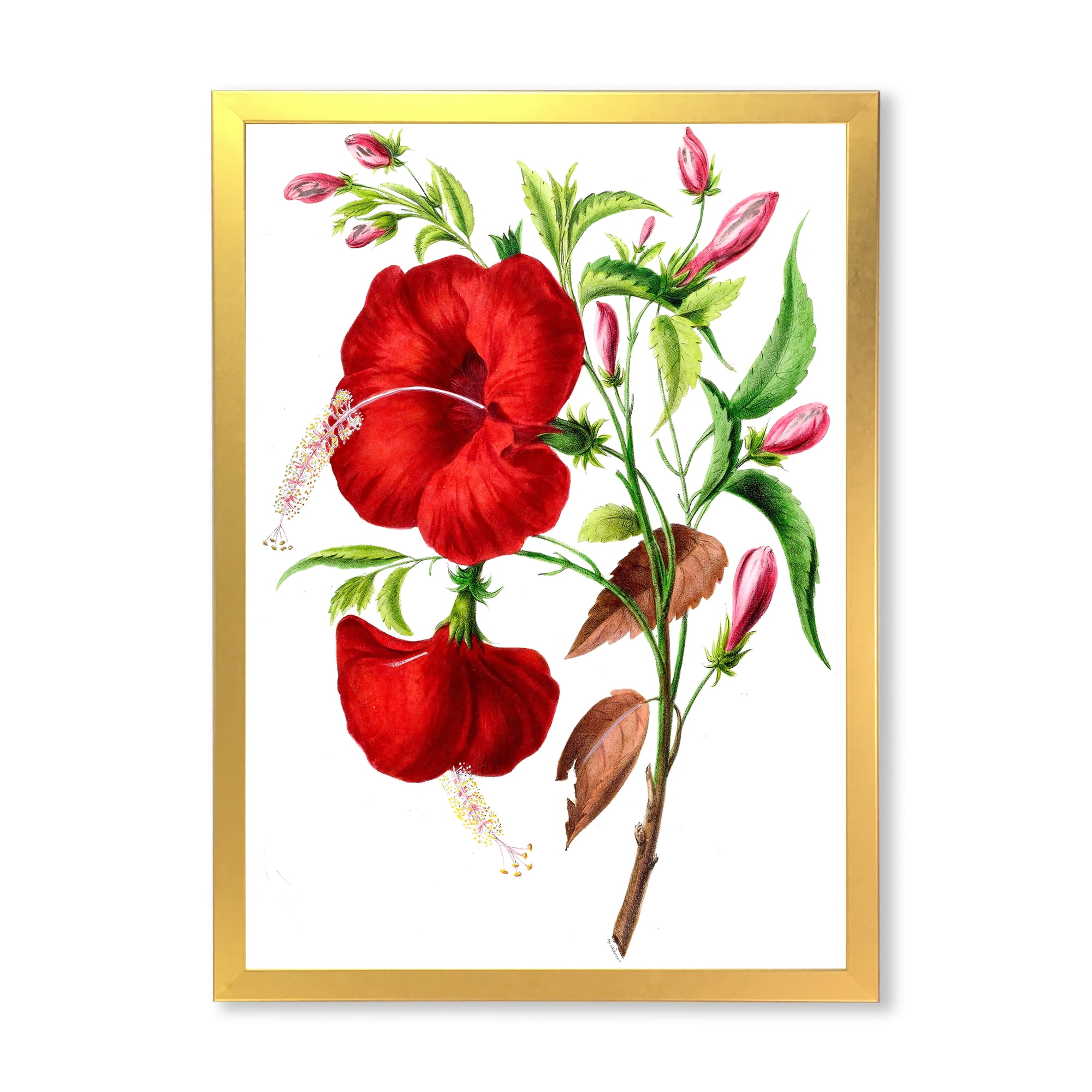 Designart 'Ancient American Flora I' Traditional Framed Art Print