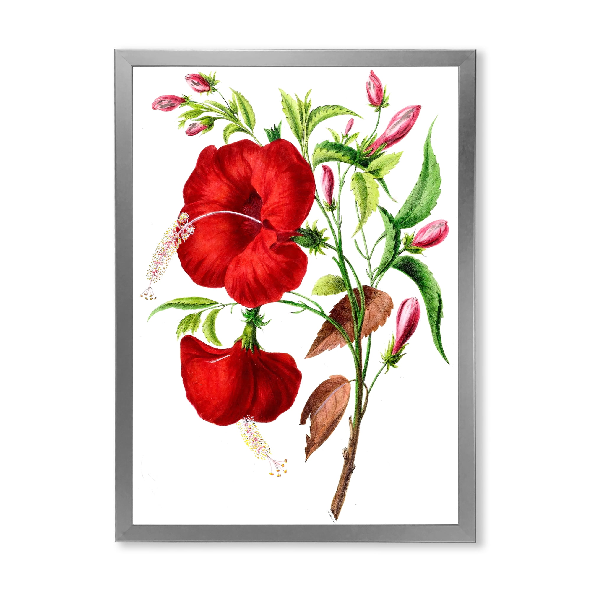 Designart 'Ancient American Flora I' Traditional Framed Art Print