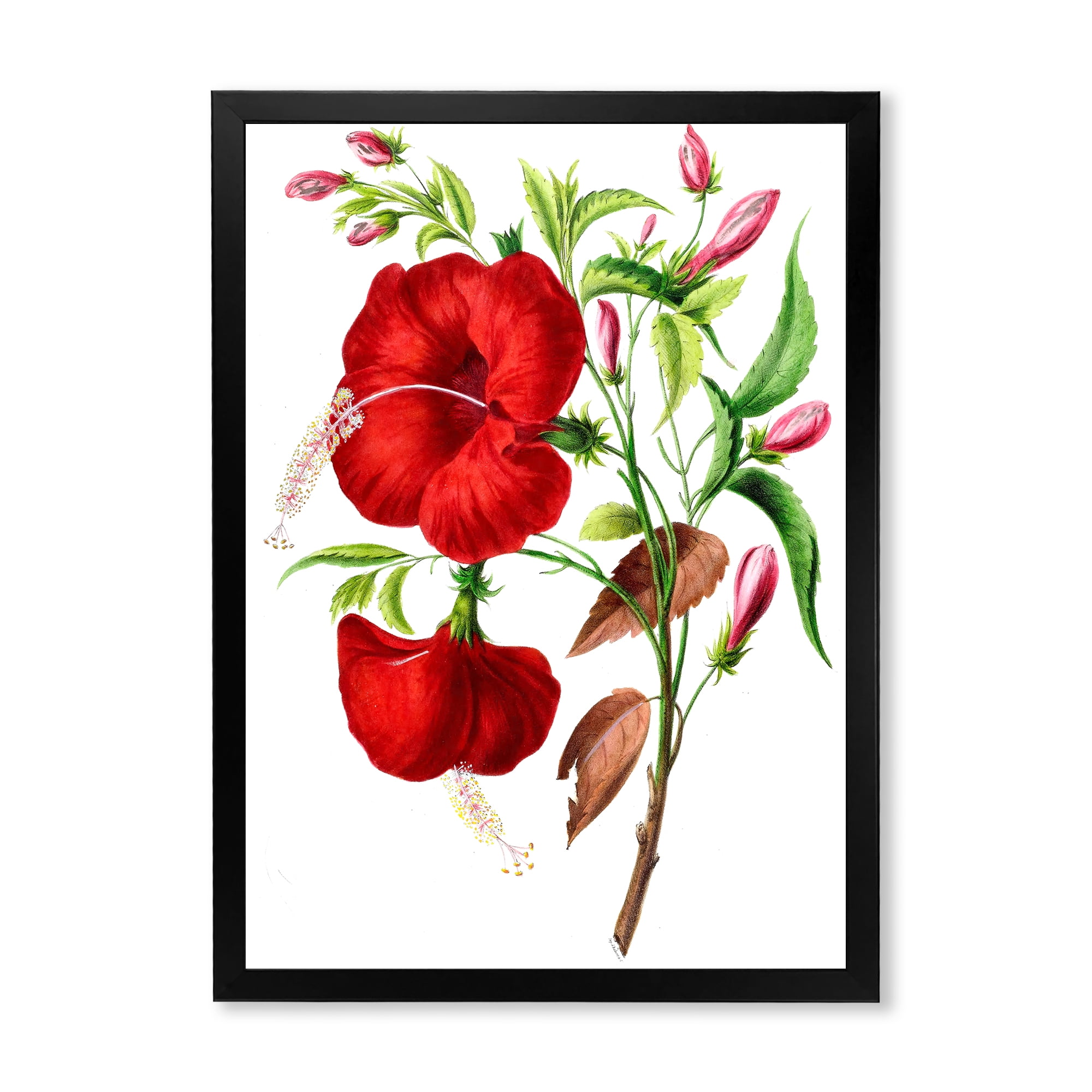 Designart 'Ancient American Flora I' Traditional Framed Art Print