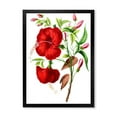 thumbnail image 1 of Designart 'Ancient American Flora I' Traditional Framed Art Print, 1 of 4