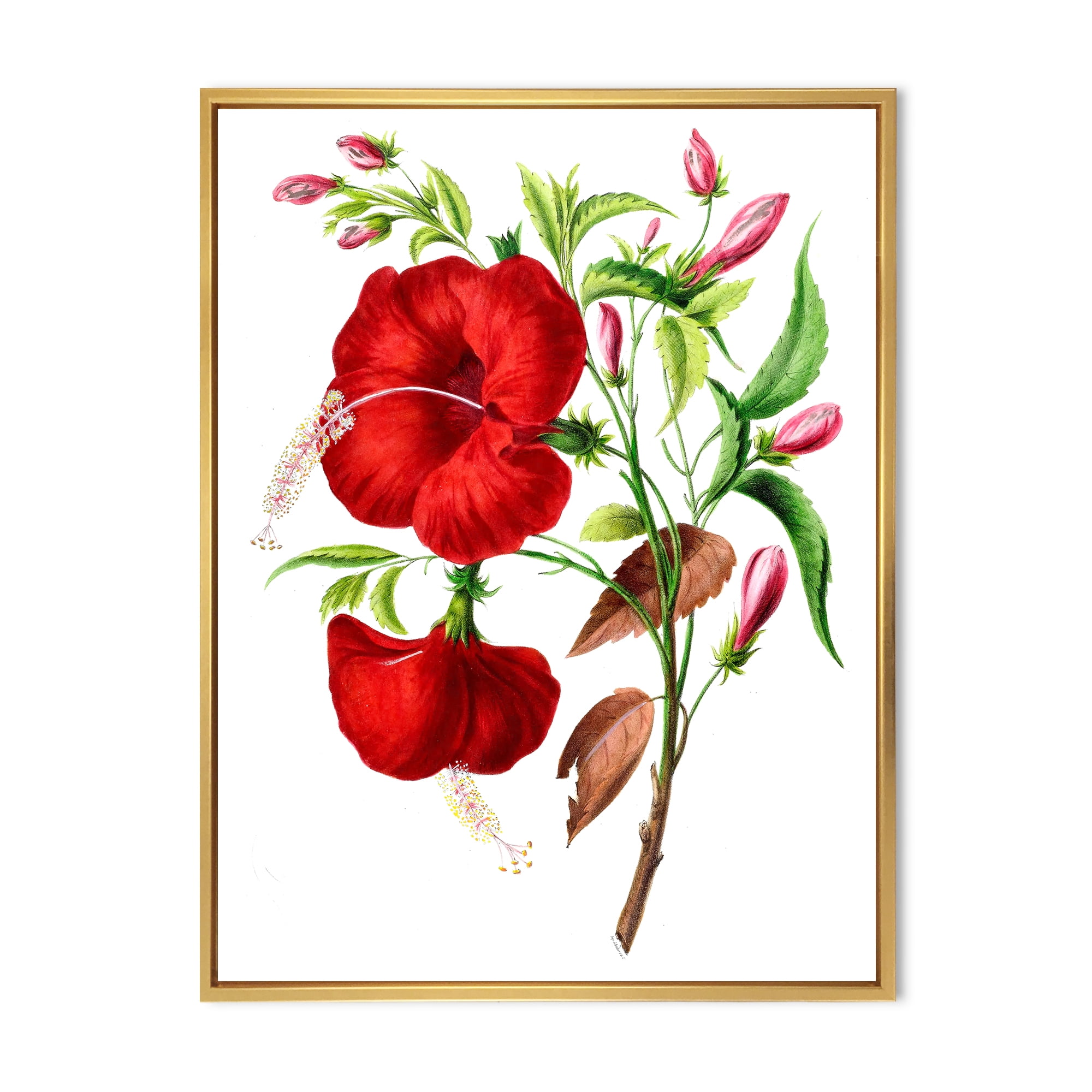 Designart 'Ancient American Flora I' Traditional Framed Canvas Wall Art Print