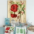 thumbnail image 1 of Designart 'Ancient American Flora I' Traditional Print on Natural Pine Wood, 1 of 1