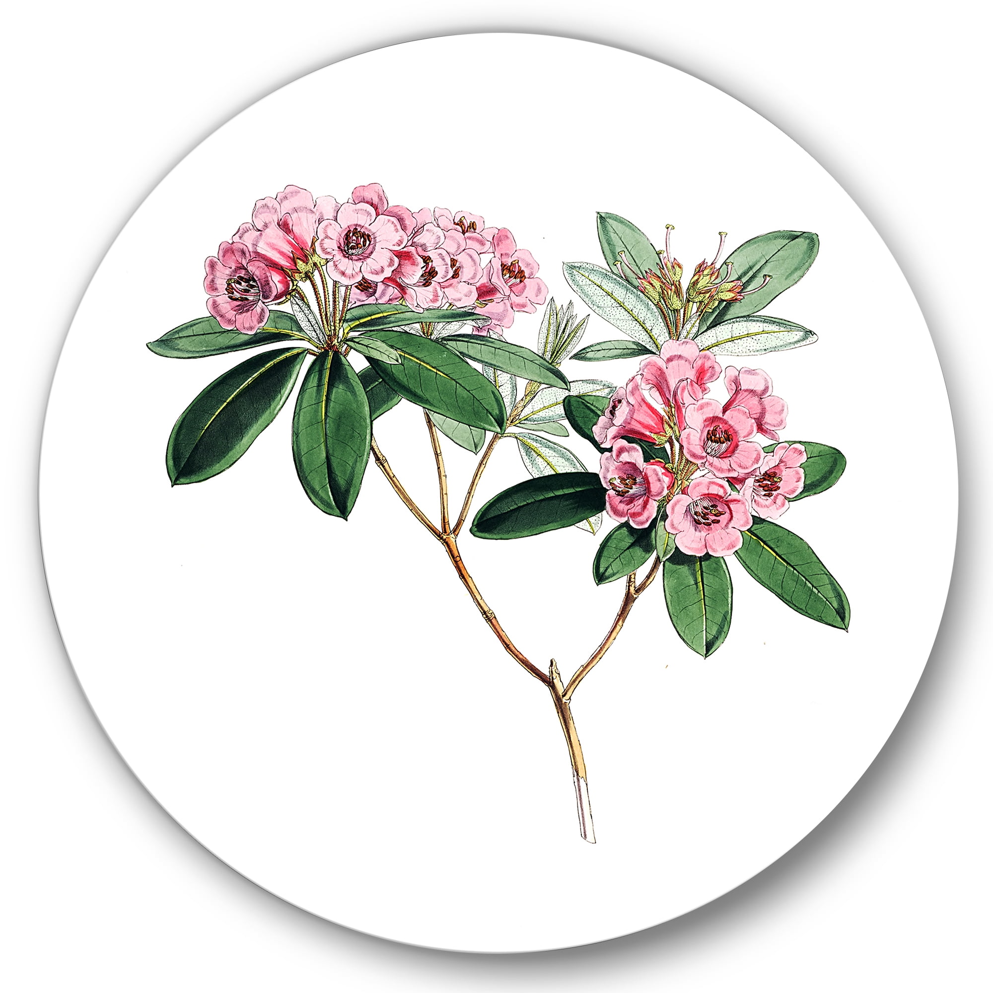 Designart 'Ancient American Flora II' Traditional Circle Metal Wall Art 29x29 - Disc of 29
